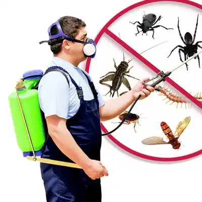 pest control Shawnee